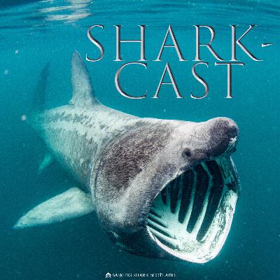 Episode 19 - BSS 2024 Crew Chat.