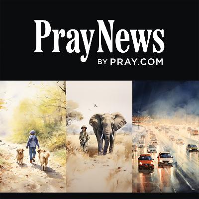Good News Weekend: Lost Toddler & Her Dogs, Black Mambas, and A Highway Hero