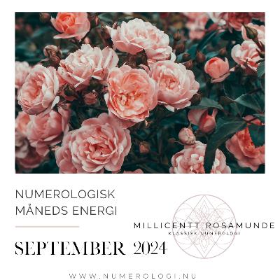 2024 | Numerologisk energi i september måned i år 2024 2024 | Numerologisk energi i september måned i år 2024