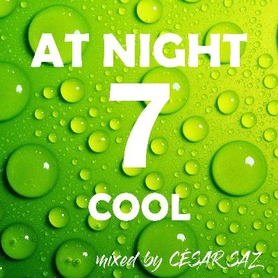 AT NIGHT 07 COOL Mixed by CÉSAR SAZ