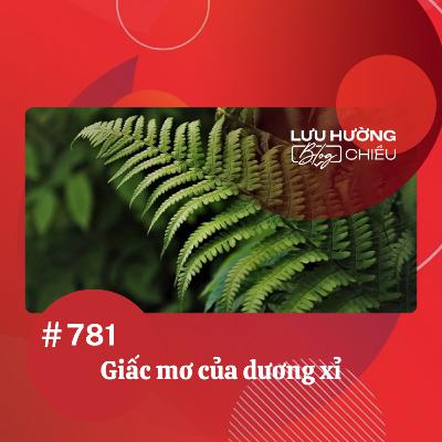 Giấc mơ của dương xỉ | Lưu Hường blog chiều | Đài Hà Nội