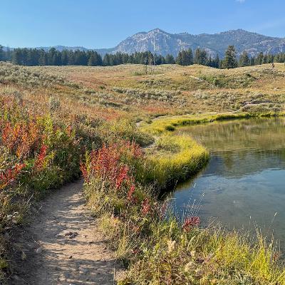 This Week in Yellowstone: September 4th to September 10th, 2025