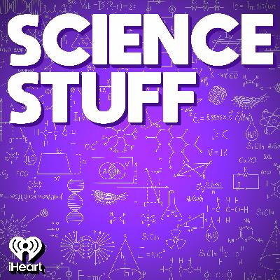 Happiness, Part 1: What Really Makes Us Happy?