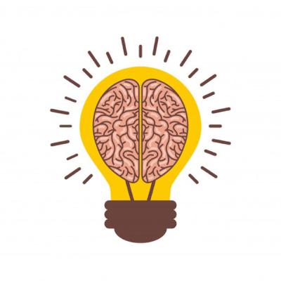 División del cerebro según las teorías de Roger w. Perry, Paul Maclean y Marco Rugerio División del cerebro según las teorías de Roger w. Perry, Paul Maclean y Marco Rugerio
