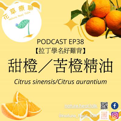 EP38【拉丁學名好難背】「甜橙&苦橙」精油~大人小孩都愛的香甜氣味,兒童芳療常用精油,舒緩焦慮、振奮精神,緩解脹氣與不適 EP38【拉丁學名好難背】「甜橙&苦橙」精油~大人小孩都愛的香甜氣味,兒童芳療常用精油,舒緩焦慮、振奮精神,緩解脹氣與不適