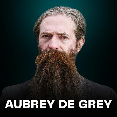 The End of Aging? Aubrey de Grey Says We're Closer Than You Think...
