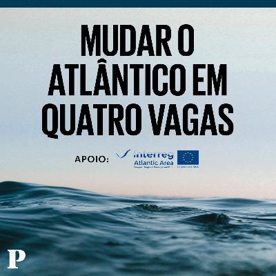 Inovar do mar ao prato