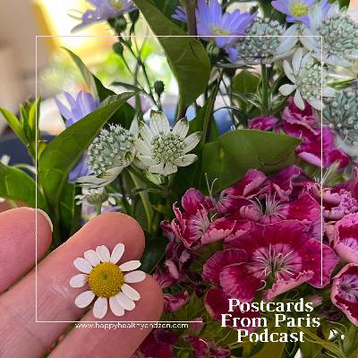 Spring Into Presence: Harvesting Clarity - One white flower Spring Into Presence: Harvesting Clarity - One white flower