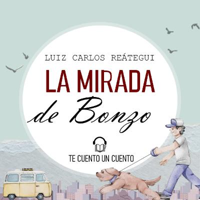 4. La mirada de Bonzo