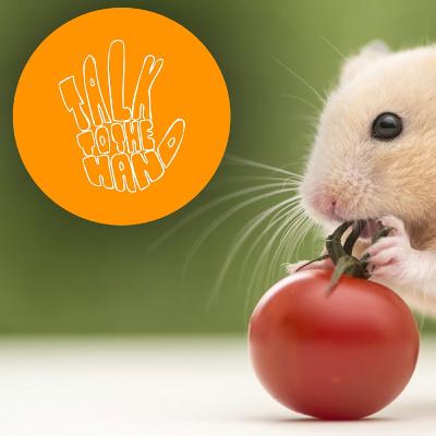 EPISODE NINETEEN - Shockmouths likes hamsters not gerbils EPISODE NINETEEN - Shockmouths likes hamsters not gerbils