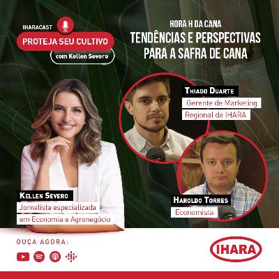 #36 - Tendências e perspectivas para a safra de cana