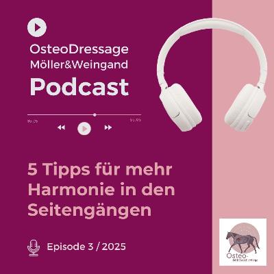 5 Tipps für mehr Harmonie in den Seitengängen