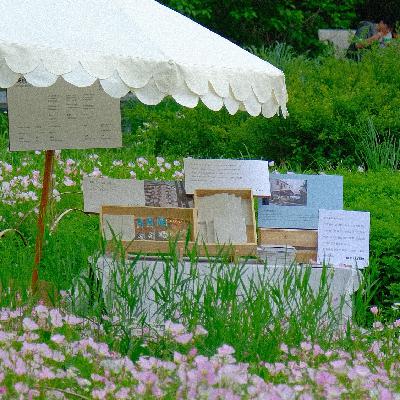 Q3 艺术书展特辑:今天我在这座城市的理由 Q3 艺术书展特辑:今天我在这座城市的理由