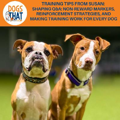 Training Tips From Susan: Shaping Q&A: Non-Reward Markers, Reinforcement Strategies, And Making Training Work For Every Dog Training Tips From Susan: Shaping Q&A: Non-Reward Markers, Reinforcement Strategies, And Making Training Work For Every Dog