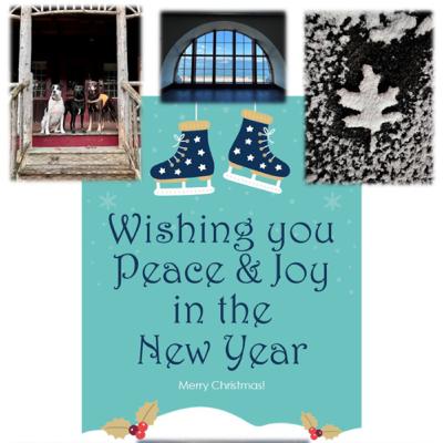 094. Merry Christmas and a Pilot Whale 094. Merry Christmas and a Pilot Whale