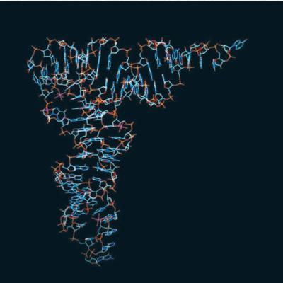 The Mechanism of Translation I: Initiation (CMB part 15)
