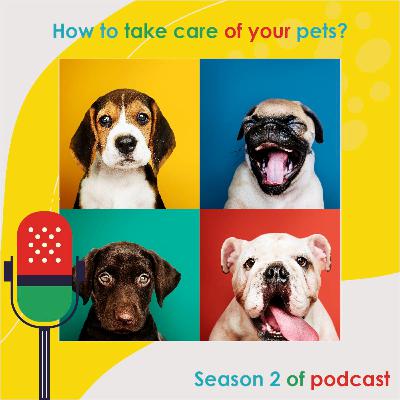 How to take care of your pets? How to take care of your pets?