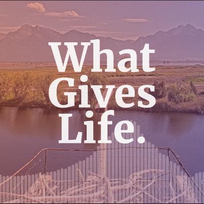 What Gives Life What Gives Life