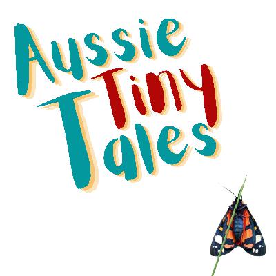 Episode 75: the tiger moth