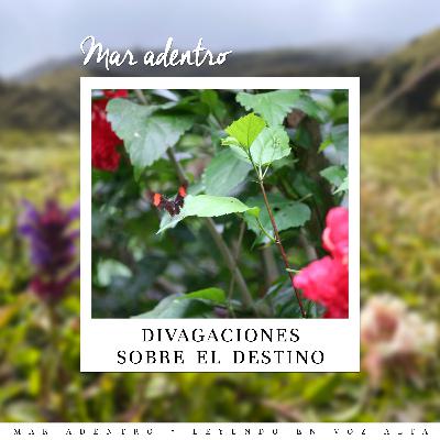 13.Divagaciones sobre el destino