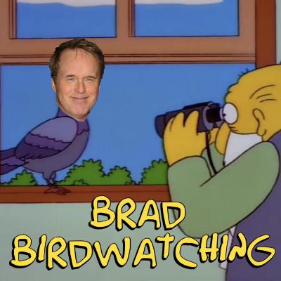 "The Incredibles" - (Side Quest Studios Patreon Preview of "Brad Birdwatching") "The Incredibles" - (Side Quest Studios Patreon Preview of "Brad Birdwatching")