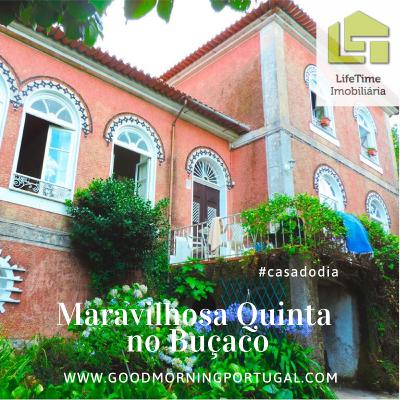 Good Morning Portugal! Casa do Dia: 'Maravilhosa Quinta no Buçaco'