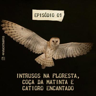 #1 - Intrusos na floresta, Coça da Matinta e o Catioro encantado