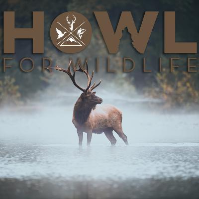 #133: Howl For Wildlife