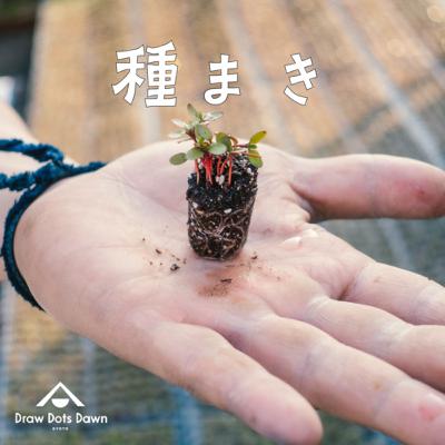 すべては変わりゆく