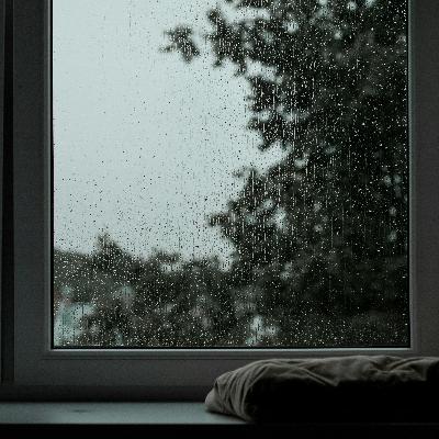 Soft Rain on Window: 8-Hour Serene Ambiance for Relaxation, Studying & Sleep