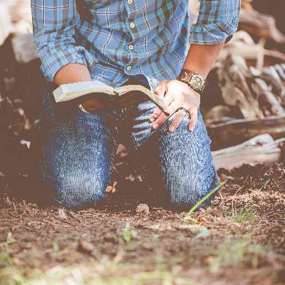 #33 - Lealdade, Fidelidade, e Integridade como Fatores de Saúde (Série Relacionamento com Deus) #33 - Lealdade, Fidelidade, e Integridade como Fatores de Saúde (Série Relacionamento com Deus)