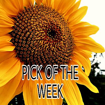 #3 P.O.W Pick of the Week Daily Devotional! IN ORDER TO SEE THE ROAD YOU MUST START WALKING!! #3 P.O.W Pick of the Week Daily Devotional! IN ORDER TO SEE THE ROAD YOU MUST START WALKING!!