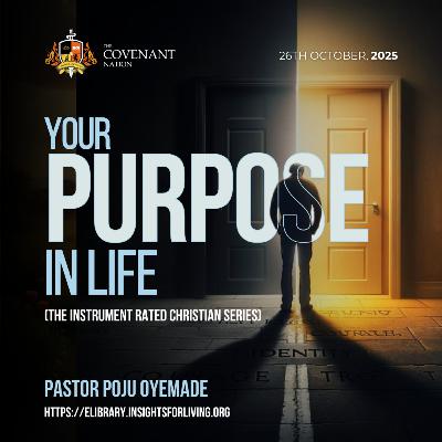 Your Purpose In Life