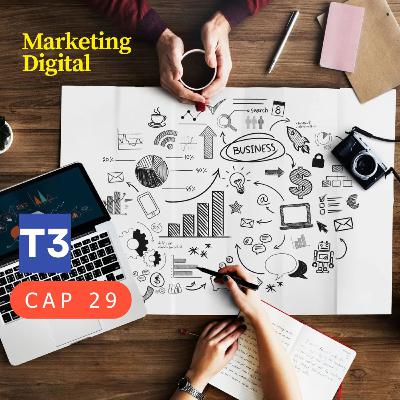 t3 cap 29. Marketing Digital #puisss