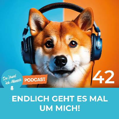 42# Endlich geht es mal um mich! 42# Endlich geht es mal um mich!