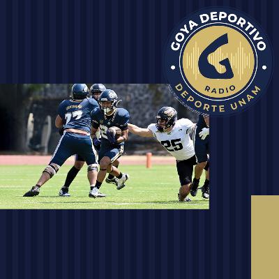 Goya Deportivo: Pumas CU gana 37-0 a Lagartos Puebla en el arranque de la temporada intermedia Goya Deportivo: Pumas CU gana 37-0 a Lagartos Puebla en el arranque de la temporada intermedia
