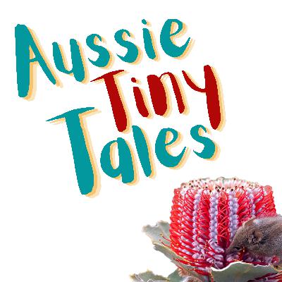 Episode 68: Honey possum’s in the Christmas blossoms