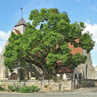 T'es Icaucais si... vous savez où trouver Rosny