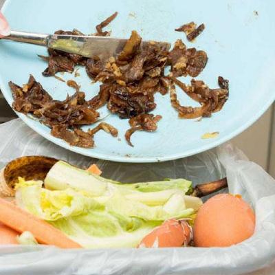 Del plato a la basura: el desperdicio de alimentos en una sociedad opulenta Del plato a la basura: el desperdicio de alimentos en una sociedad opulenta