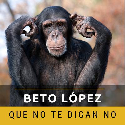 Que no te digan no