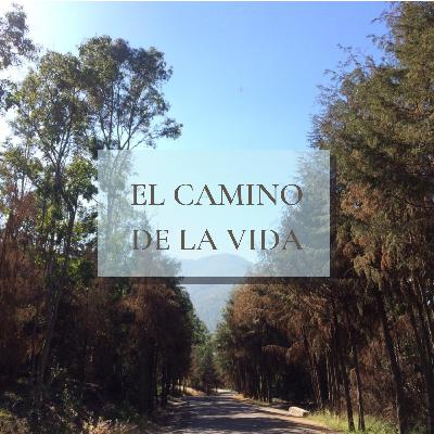 EL CAMINO DE LA VIDA - 14/12/2020