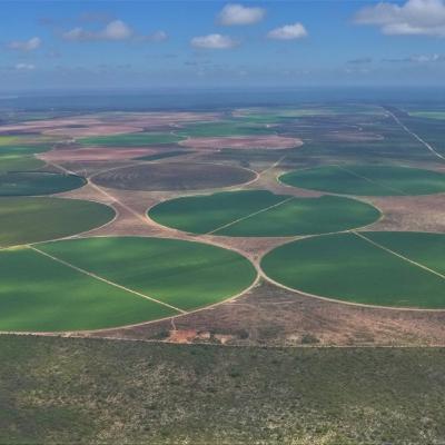 Reunião Polo Bioenergético e Sucroalcooleiro