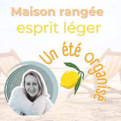 Quand l’organisation devient… désorganisante - Emilie Hequin