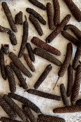 S3 E14: Long Pepper