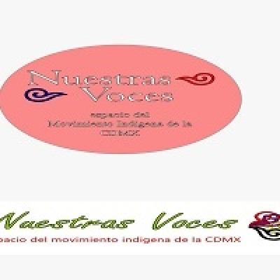 Nuestras Voces 13102025 p 368