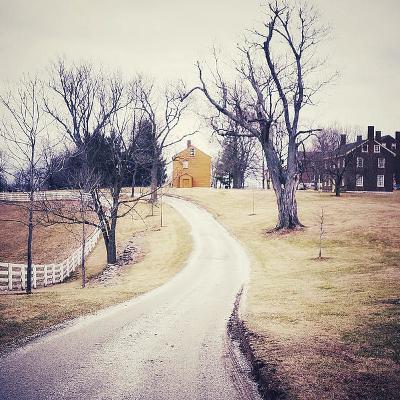 The Way Home