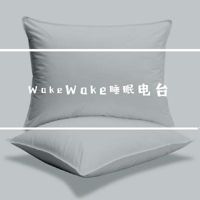 【WakeWake睡眠电台】Vol.16