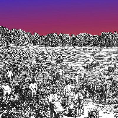 What Next | What Kids Aren't Learning About US History What Next | What Kids Aren't Learning About US History