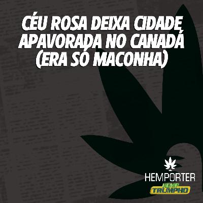 Céu rosa deixa cidade em choque (era só maconha) Céu rosa deixa cidade em choque (era só maconha)