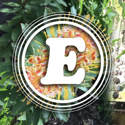 Euth Radio 032 - Late June/Early July 2020